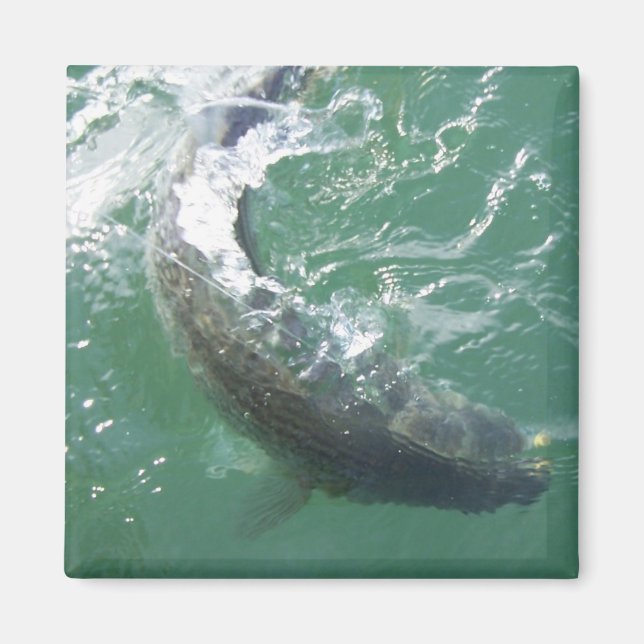 Magnet Template (Front)