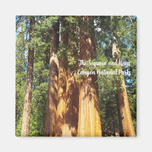 Magnet The Sequoia and Kings Canyon National Parks