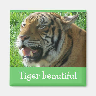 Magnet  Tiger beautiful