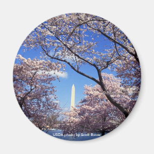 Magnet / Washington Monument