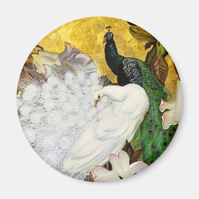 Magnet: White and Blue Peacocks Magnet (Front)