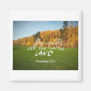 Magnet with a bible verse