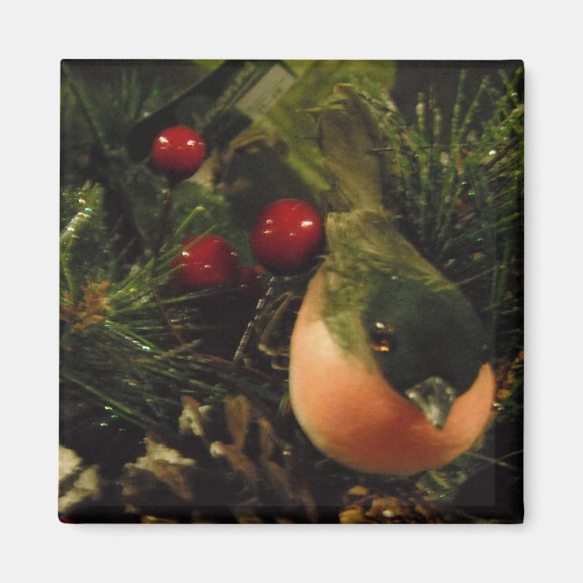 Magnet With Bird (Front)