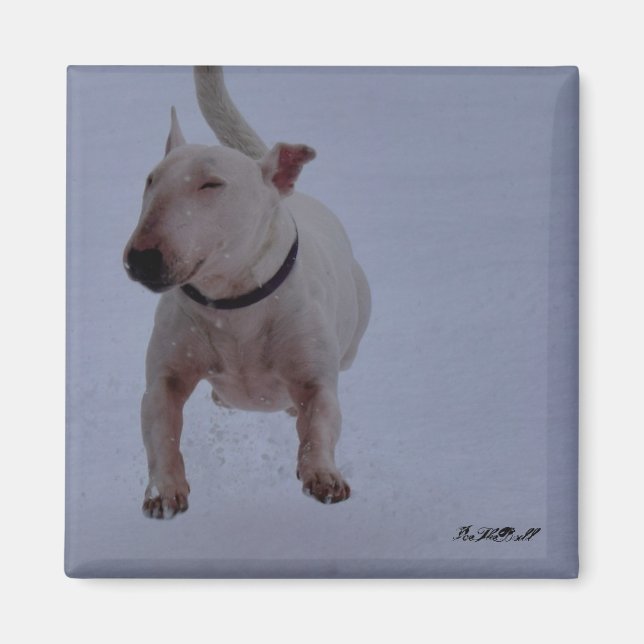 magnet with bull terrier in the snow (Front)