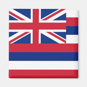 Magnet with Flag of Hawaii State - USA