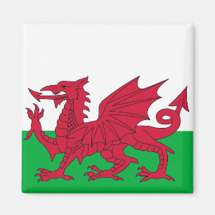 Magnet with Flag of Wales
