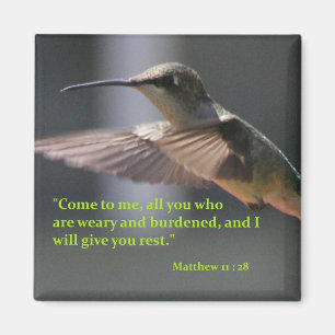 magnet with hummingbird - give you rest