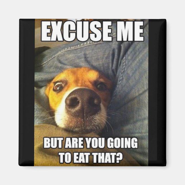 MAGNET WITH SAYINGS (Front)