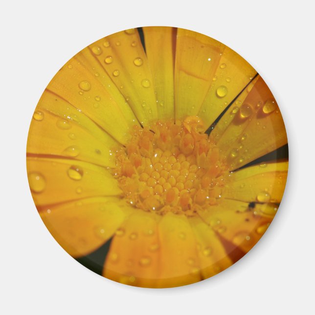 Magnet - Yellow flower with water drops (Front)