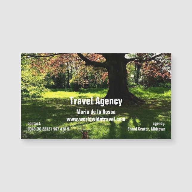 Magnetic Business Cards (Front)