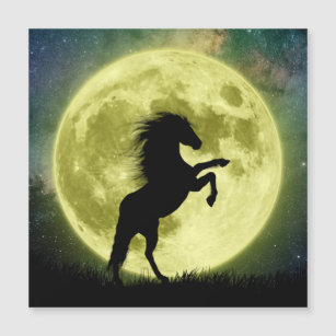 Magnetic card The horse and the yellow moon