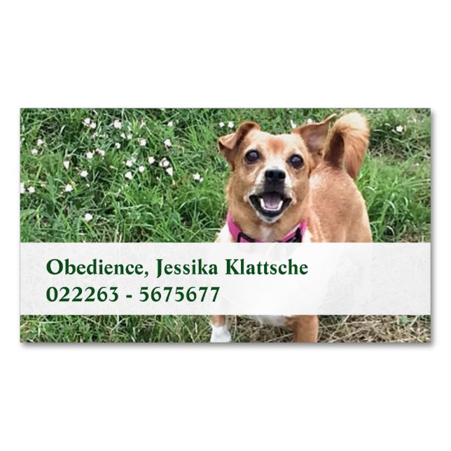 Magnetic Cards (Front)