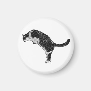 Magnetic Cat Detail Magnet