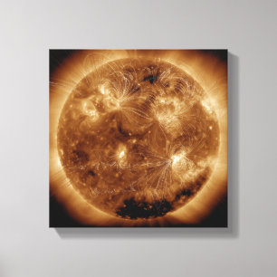 Magnetic field lines on the Sun 2 Canvas Print