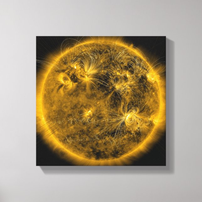 Magnetic field lines on the Sun Canvas Print (Front)