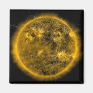 Magnetic field lines on the Sun Magnet