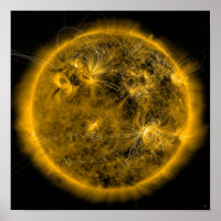 Magnetic field lines on the Sun
