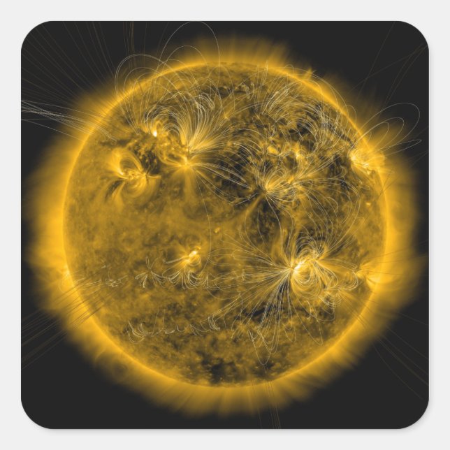 Magnetic field lines on the Sun Square Sticker (Front)