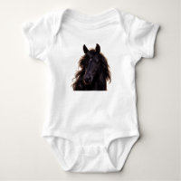Magnificent Black Stallion