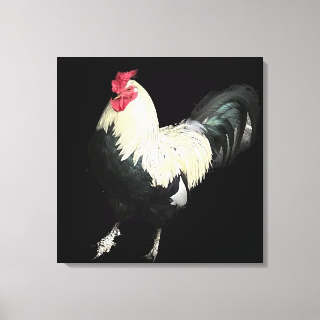 Magnificent Cockerel No 1 Canvas Print (Front)