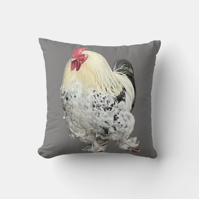 Magnificent Cockerel No 2   Cushion (Front)