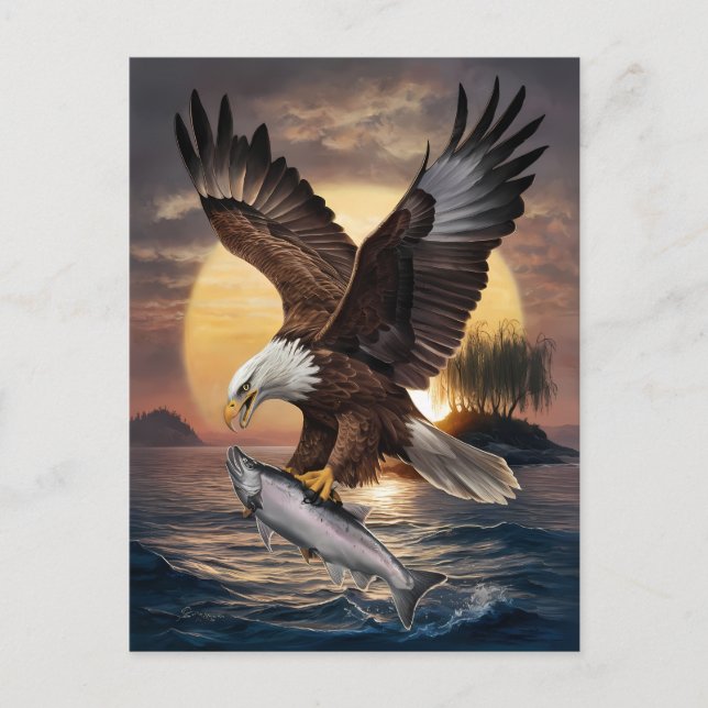 Magnificent Eagle Soaring Over a Fish Postcard (Front)