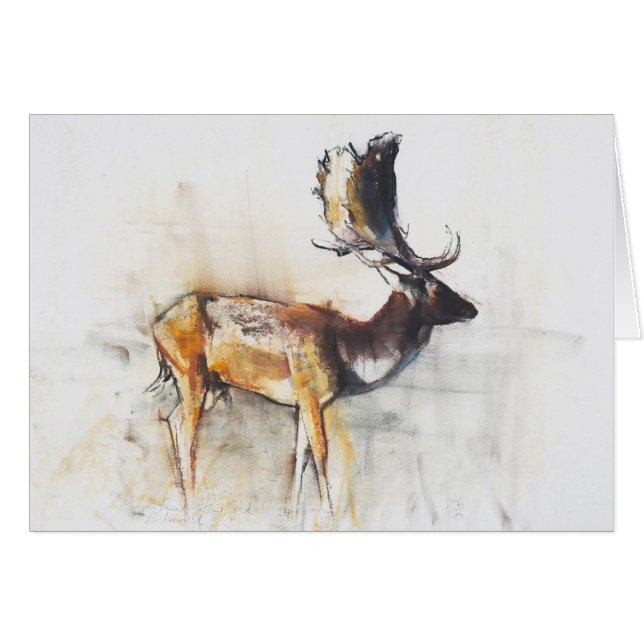 Magnificent Fallow Buck 2006 (Front Horizontal)
