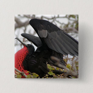 Magnificent Frigate Bird 15 Cm Square Badge