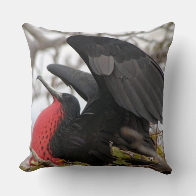 Magnificent Frigate Bird Cushion (Front)