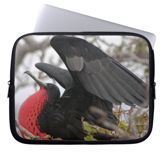Magnificent Frigate Bird Laptop Sleeve (Front)