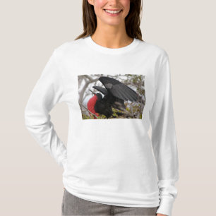 Magnificent Frigate Bird T-Shirt