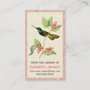 Magnificent Hummingbird Personalised Media Cards