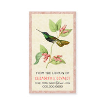 Magnificent Hummingbird Personalised Media Cards