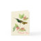 Magnificent Hummingbird Thank You Note Card