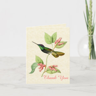 Magnificent Hummingbird Thank You Note Card