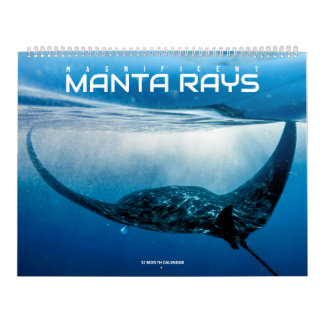 Magnificent Manta Rays Calendar