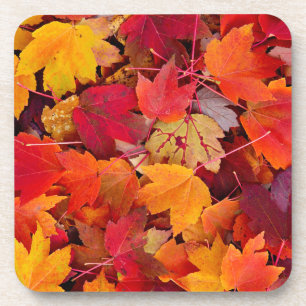 Magnificent Maple Leaves Coaster
