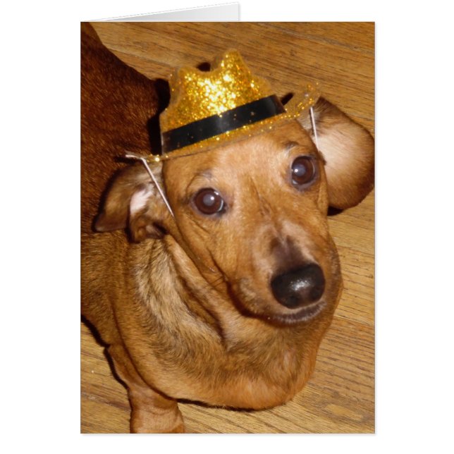 MAGNIFICENT MICKEY COWBOY (Front)