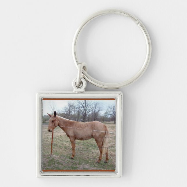 Magnificent Mule! Key Ring (Front)