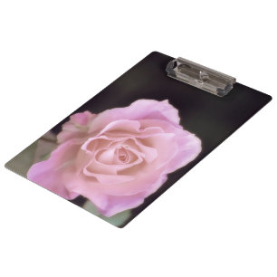 Magnificent Pink Rose Clipboard