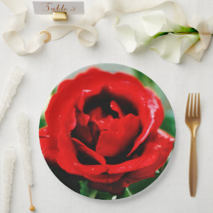 Magnificent Red Rose Love Paper Plate