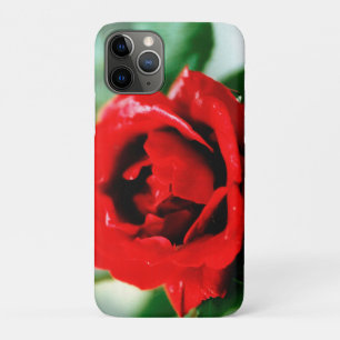Magnificent red rose with morning dew drops   Case-Mate iPhone case
