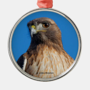 Magnificent Red-Tailed Hawk in the Sun Metal Tree Decoration