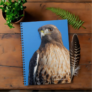 Magnificent Red-Tailed Hawk in the Sun Spiral Notebook