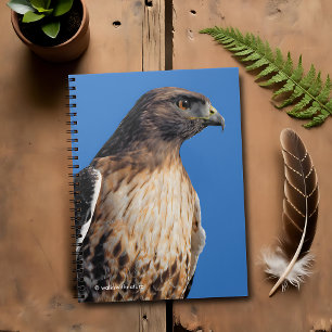 Magnificent Red-Tailed Hawk in the Sun Spiral Notebook