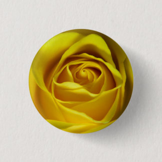 Magnificent yellow rose macro picture 3 cm round badge