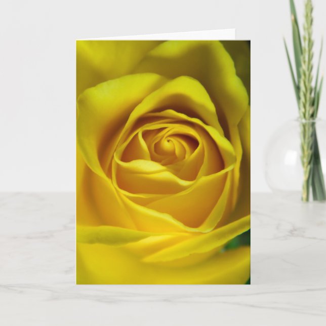 Magnificent yellow rose macro picture card (Front)
