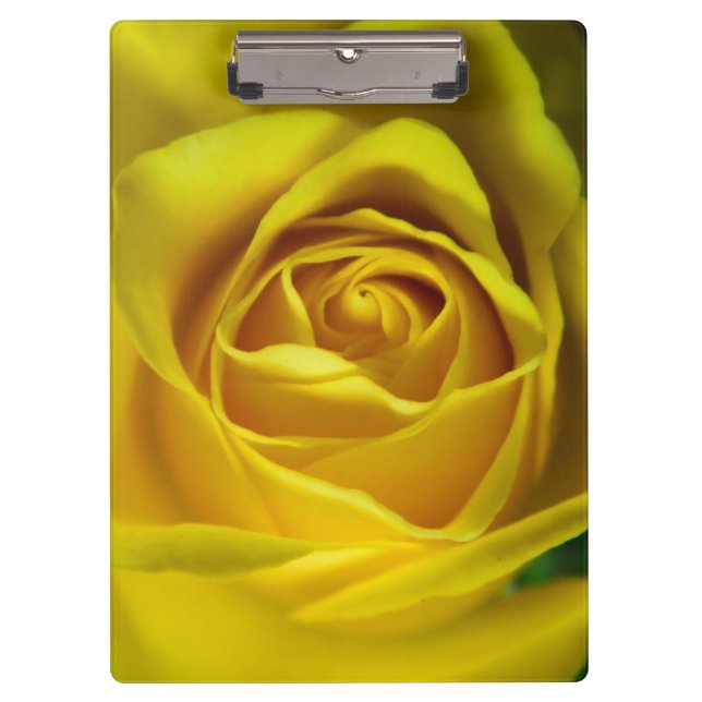 Magnificent yellow rose macro picture clipboard (Front)