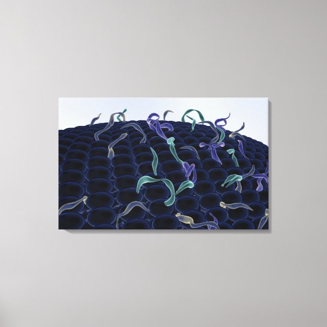 Magnified cell membrane canvas print (Front)