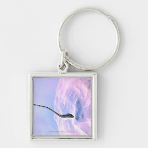 Magnified look at a sperm fertilising an egg key ring